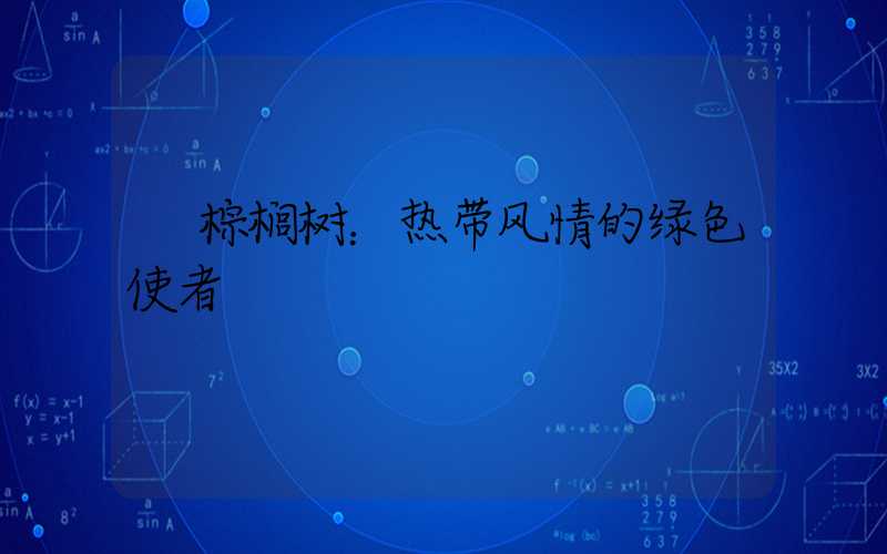  棕榈树：热带风情的绿色使者